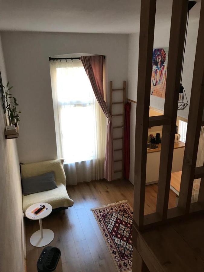 Downtown Apartment Timişoara